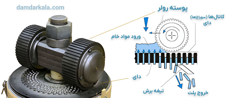 تعامل پوسته رولر پرس پلت و دای در تولید پلت خوراک دام